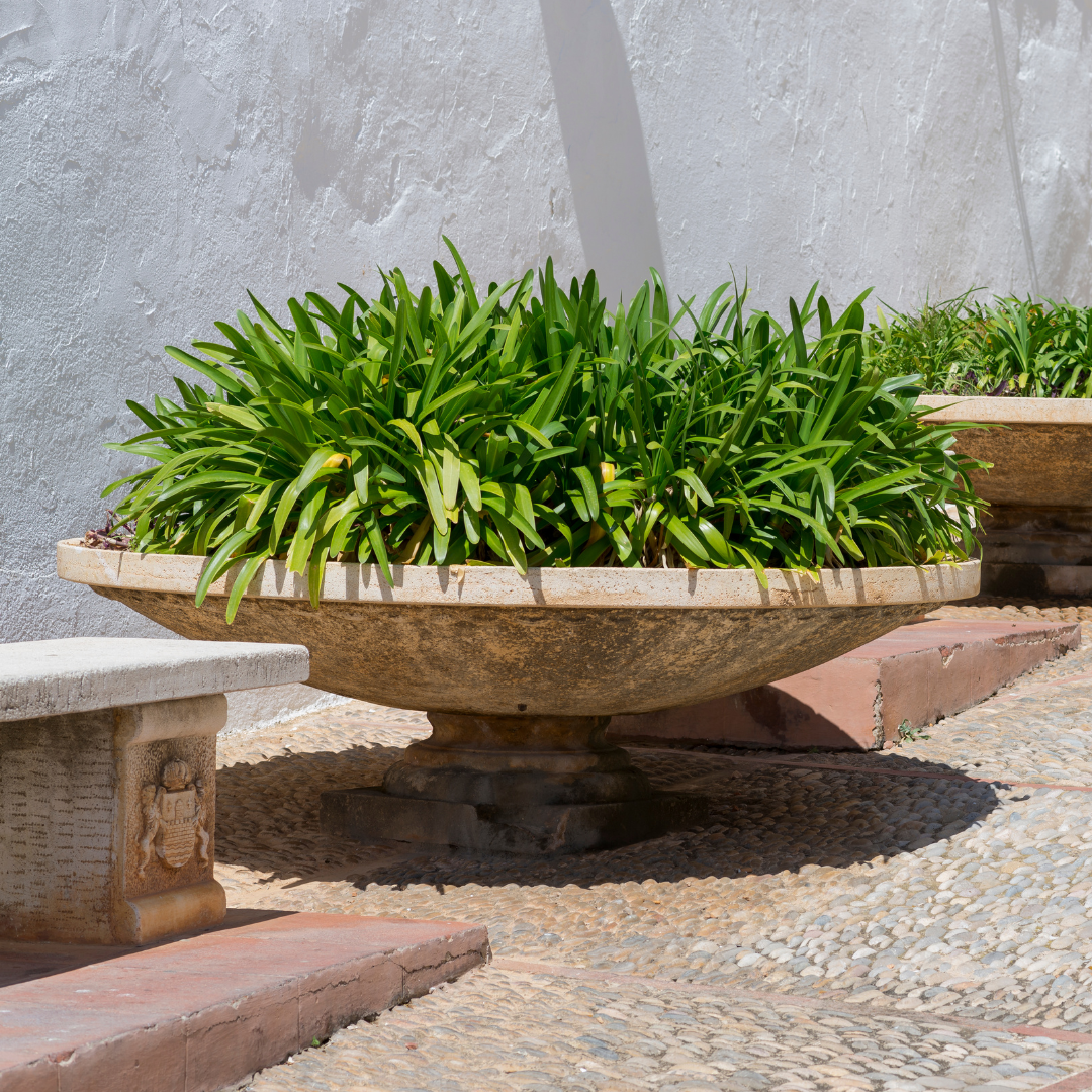 Planters & Indoor Greenery