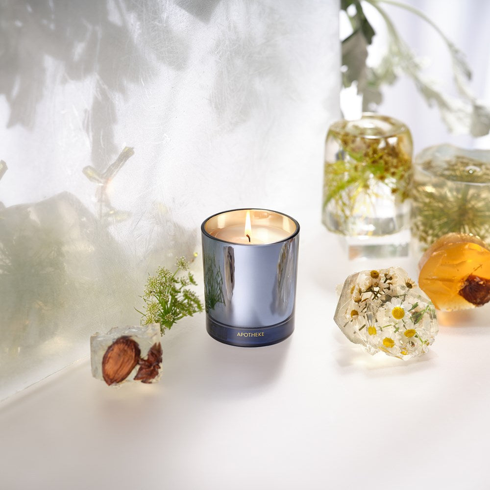Cardamom Chestnut Petite Candle