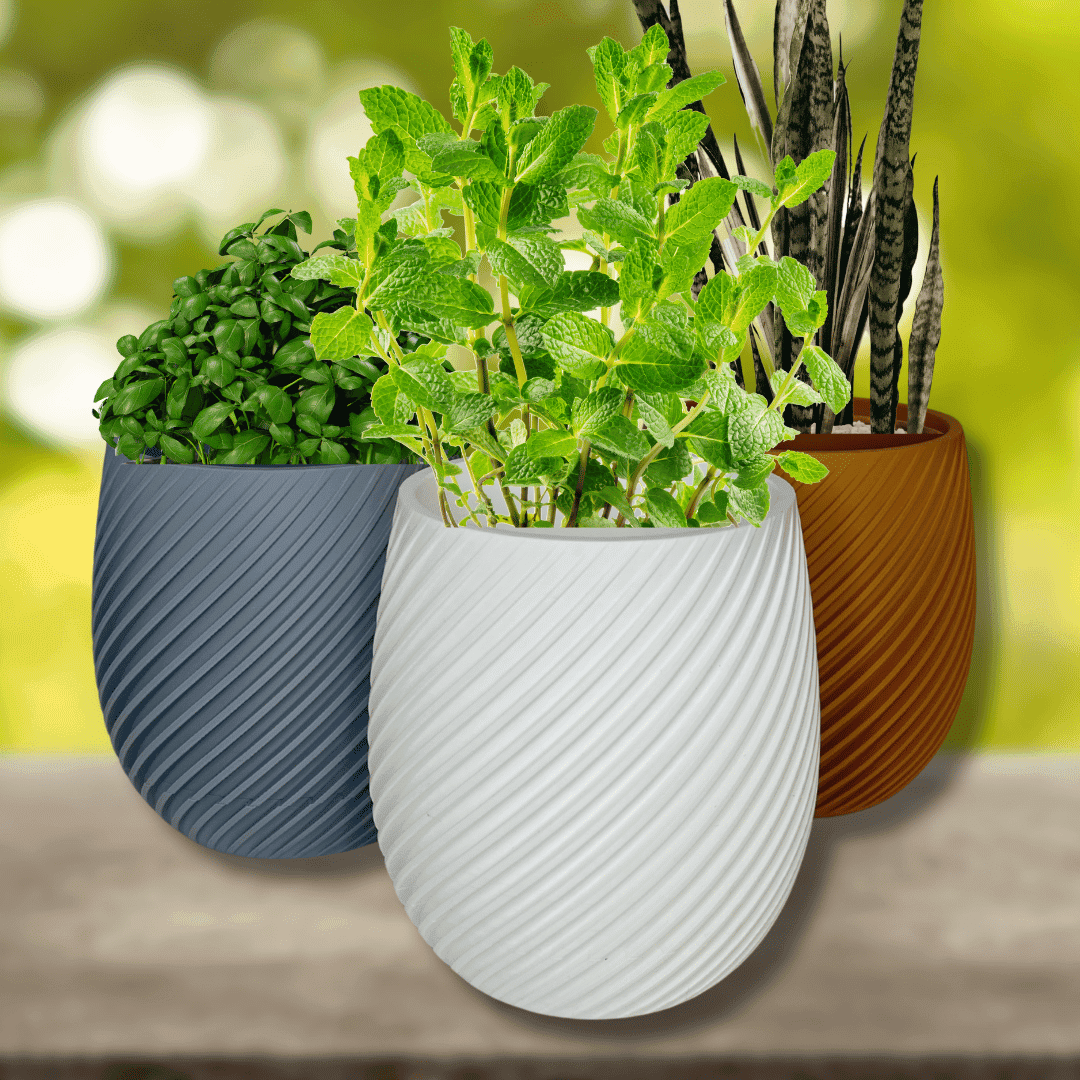 Spiral Design Wall or Tabletop Planter