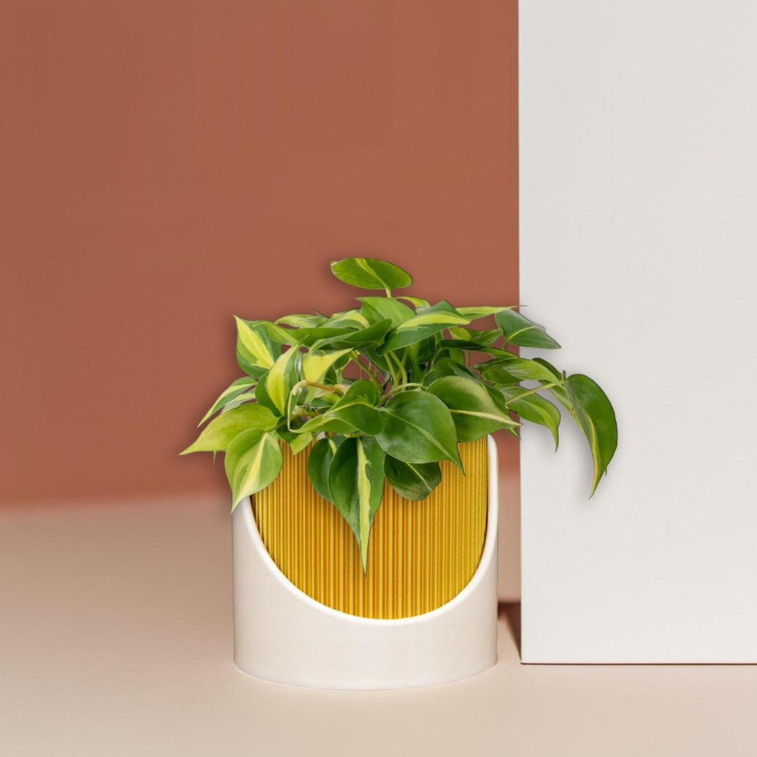 4 Inch Self Watering Planter, Large Indoor Outdoor Plant Pot with Drainage